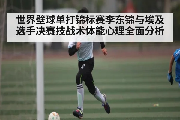 世界壁球单打锦标赛李东锦与埃及选手决赛技战术体能心理全面分析